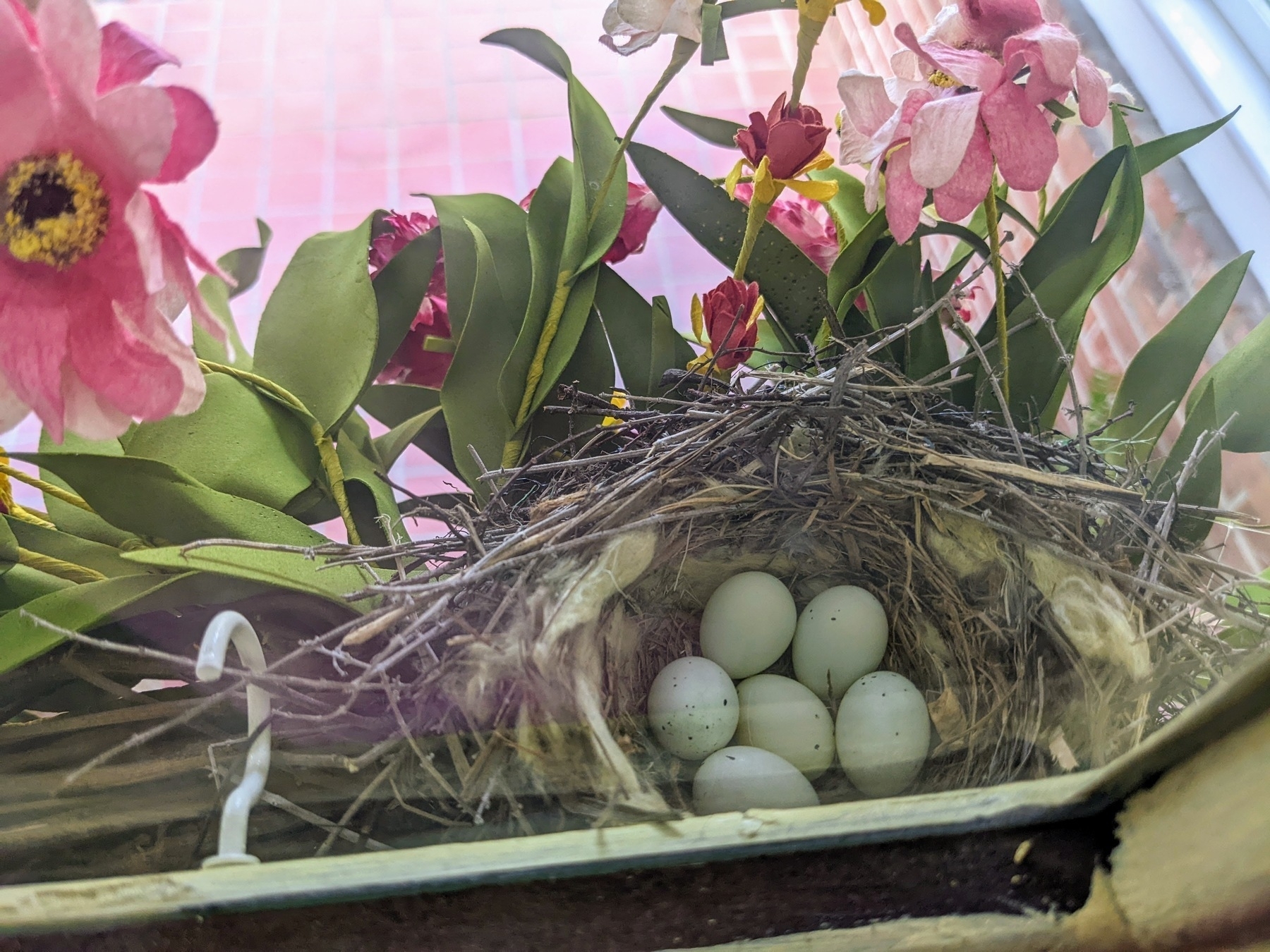 bird's nest built on floral front door wreath, with six eggs inside