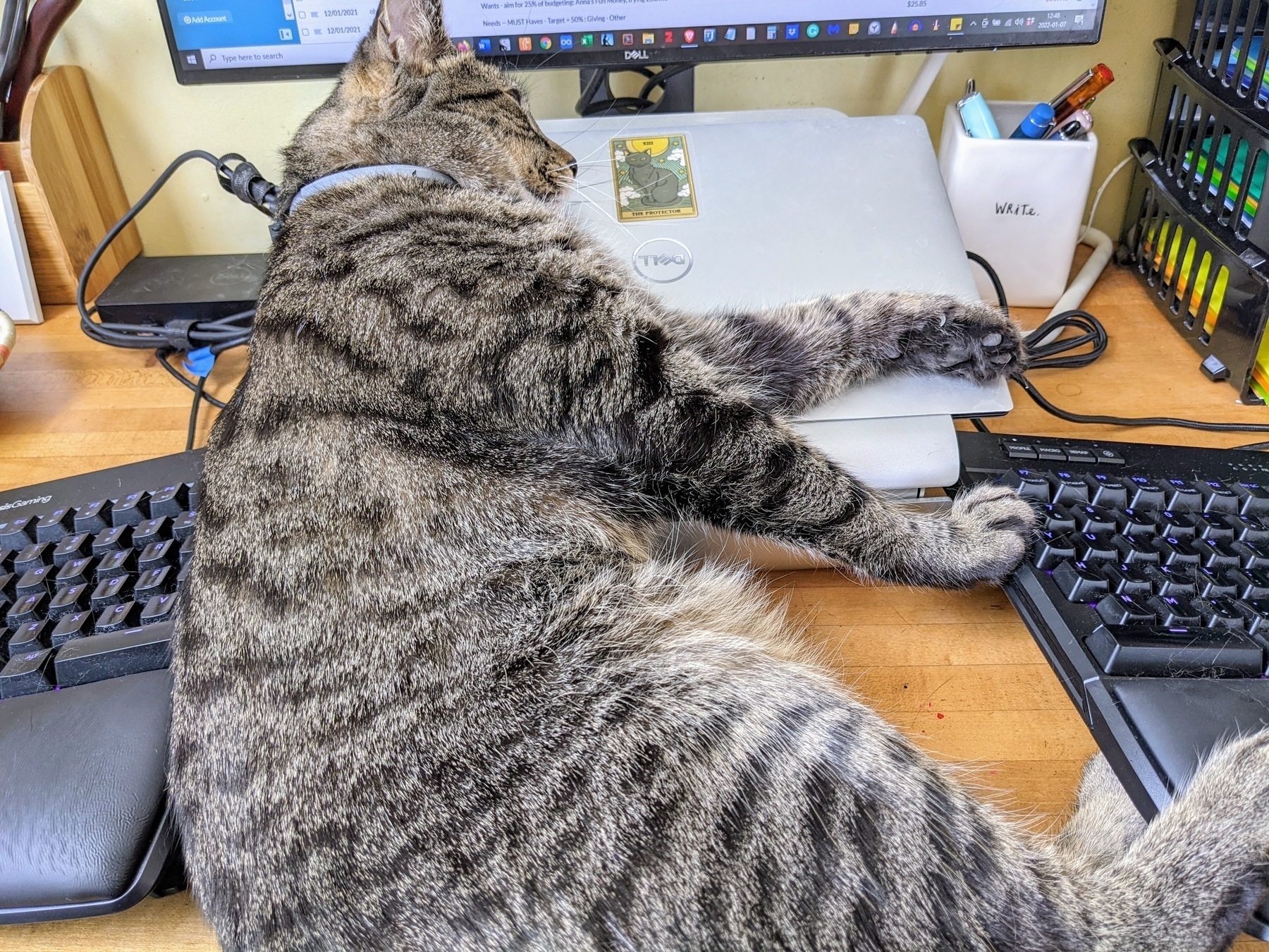 a large striped cat is lying in the gap in the middle of a split keyboard